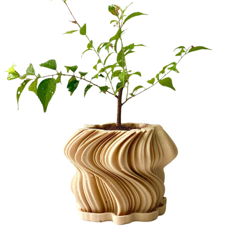 3D-Printed Wavy Planter