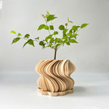3D-Printed Wavy Planter