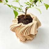 3D-Printed Wavy Planter