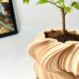 3D-Printed Wavy Planter