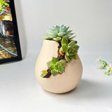 3D-Printed Planter With Cloud-Pattern Grooves