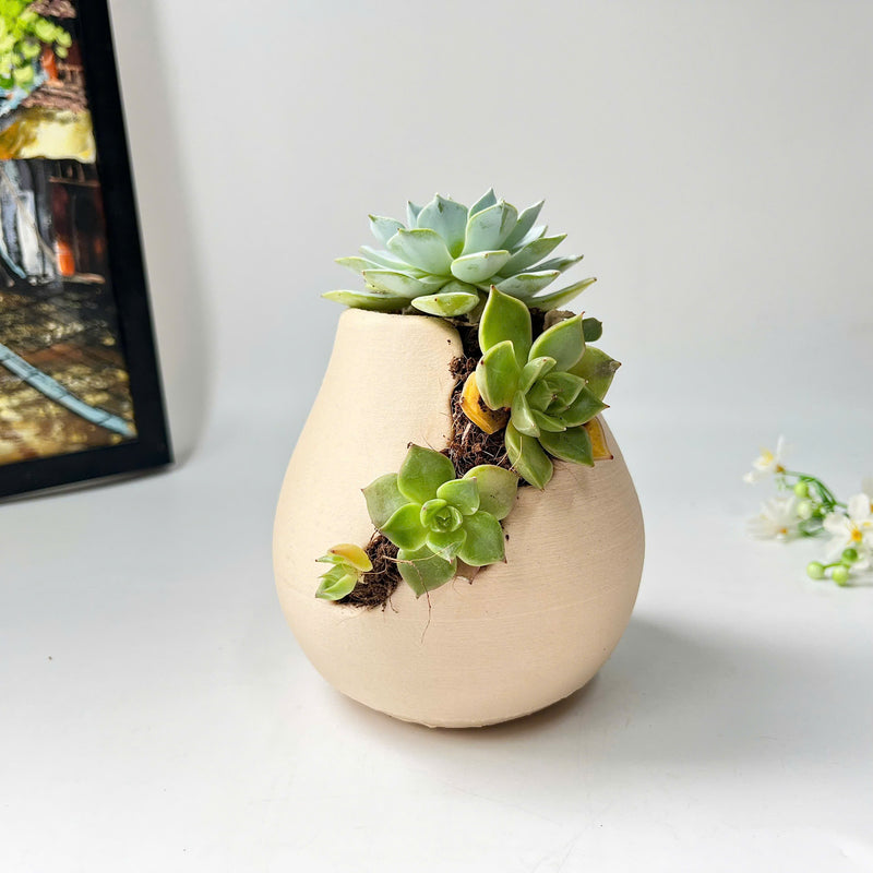 3D-Printed Planter With Cloud-Pattern Grooves