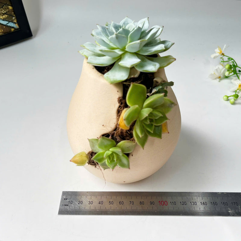 3D-Printed Planter With Cloud-Pattern Grooves