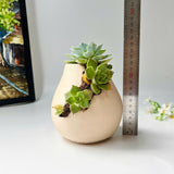 3D-Printed Planter With Cloud-Pattern Grooves