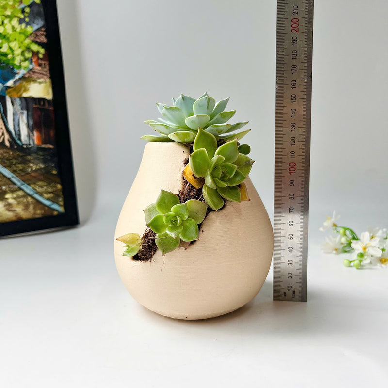 3D-Printed Planter With Cloud-Pattern Grooves