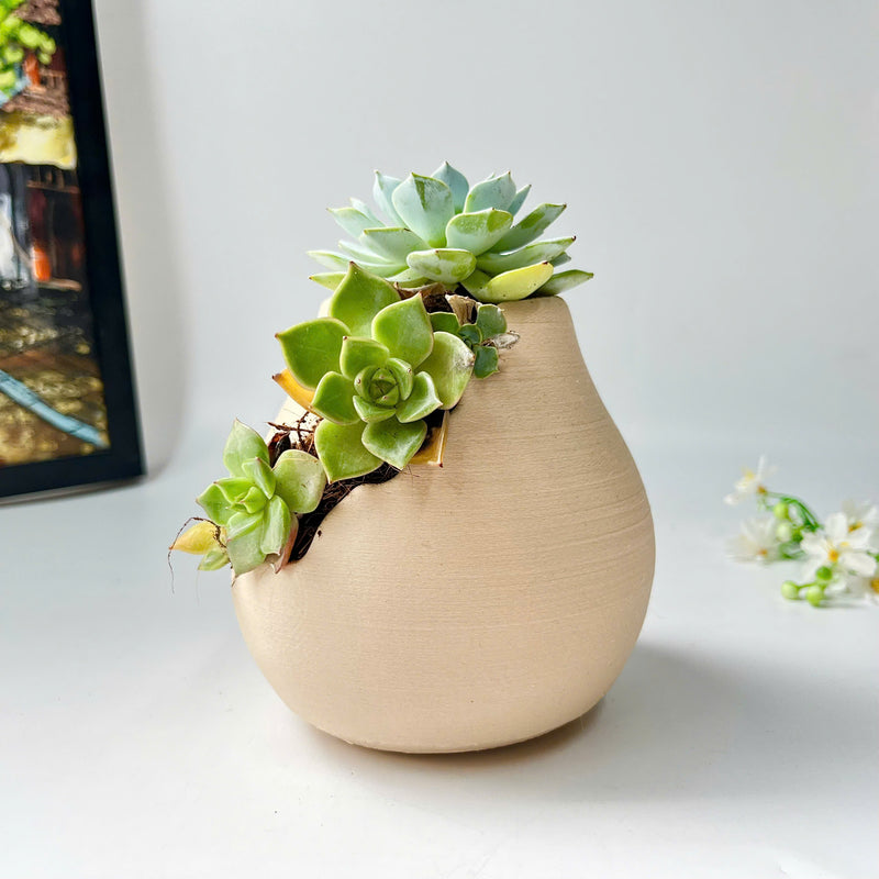 3D-Printed Planter With Cloud-Pattern Grooves
