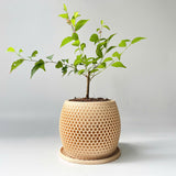 Honeycomb Plant Pot
