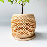 Honeycomb Plant Pot