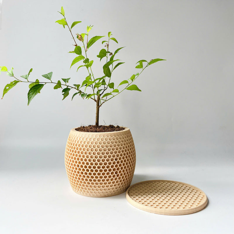 Honeycomb Plant Pot