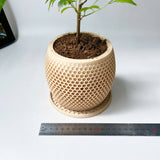 Honeycomb Plant Pot