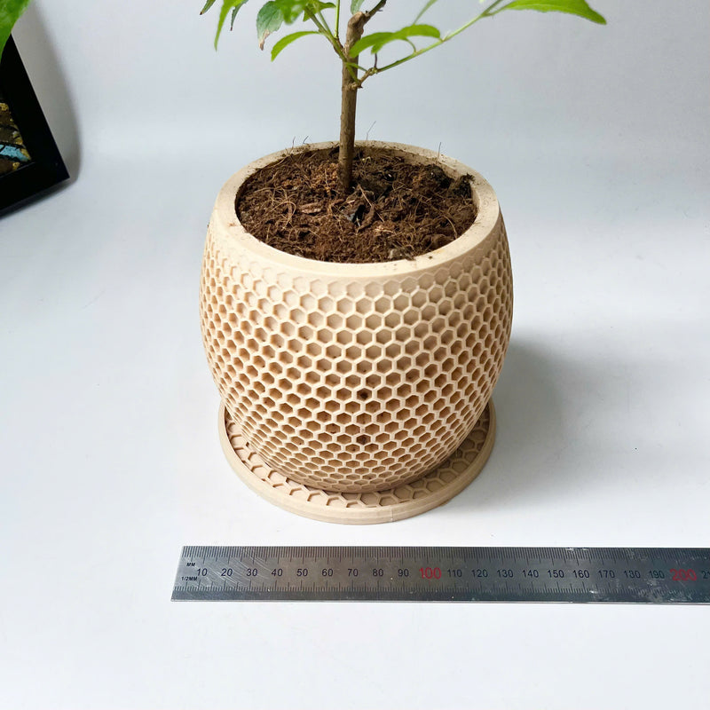 Honeycomb Plant Pot