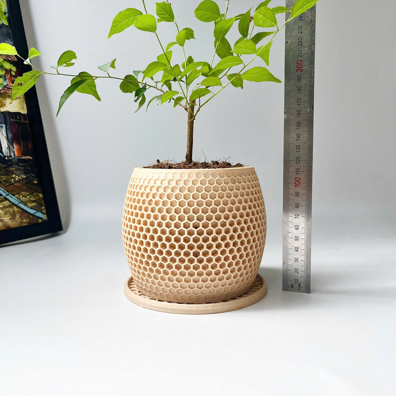 Honeycomb Plant Pot