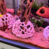 Aquarium Dome Decor, Home Hide Out, Aquarium Dome, Aquarium Safe Plastic.