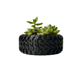 Random 2" Succulent In Tire-Shaped Plant Pot