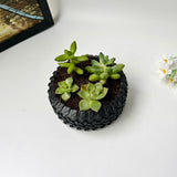 Tire-Shaped Plant Pot