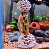 Shrimp Tent Decor Combo – Shrimp Hideout, Moss Holder, Aquarium Safe Plastic Shelter