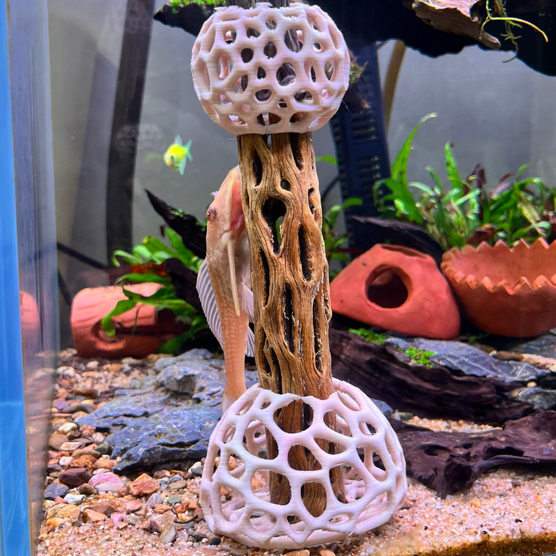 Shrimp Tent Decor Combo – Shrimp Hideout, Moss Holder, Aquarium Safe Plastic Shelter