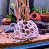 Shrimp Tent Decor Combo – Shrimp Hideout, Moss Holder, Aquarium Safe Plastic Shelter