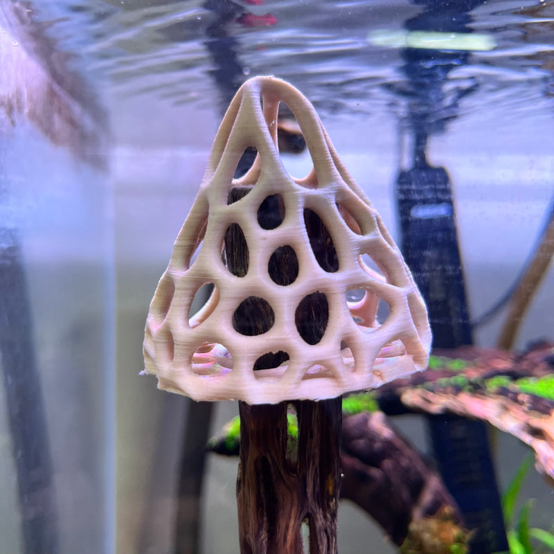 Shrimp Tent Decor Combo – Shrimp Hideout, Moss Holder, Aquarium Safe Plastic Shelter
