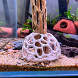 Shrimp Tent Decor Combo – Shrimp Hideout, Moss Holder, Aquarium Safe Plastic Shelter