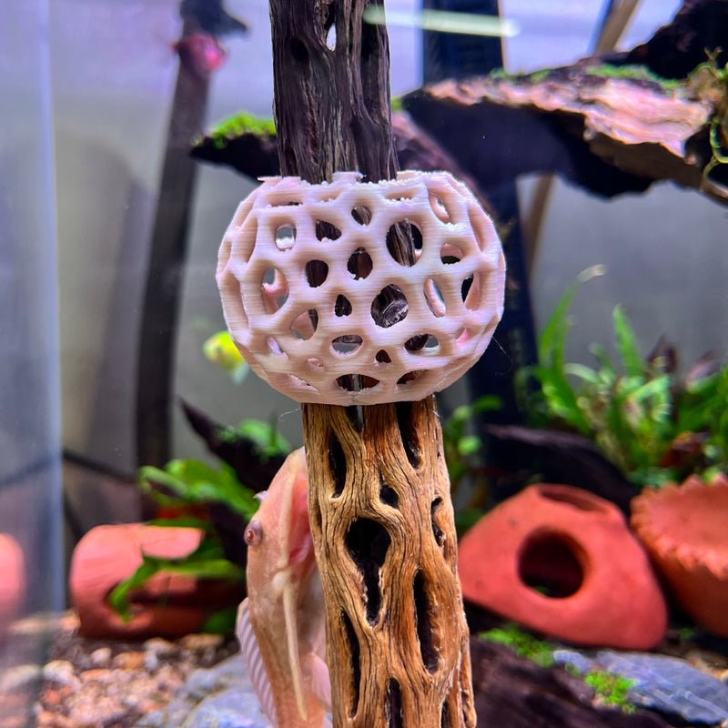 Aquarium Shrimp Dome Decor. Shrimp Home Hide Out, Moss Holder, Aquarium Dome, Aquarium Safe Plastic.