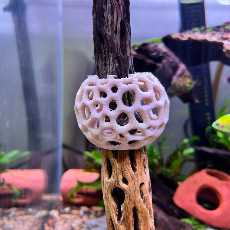 Aquarium Shrimp Dome Decor. Shrimp Home Hide Out, Moss Holder, Aquarium Dome, Aquarium Safe Plastic.