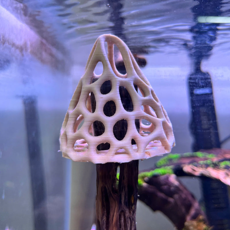 Aquarium Shrimp Tent Decor. Shrimp Home Hide Out, Shelter for Shrimps to Hide, Aquarium Safe Plastic.