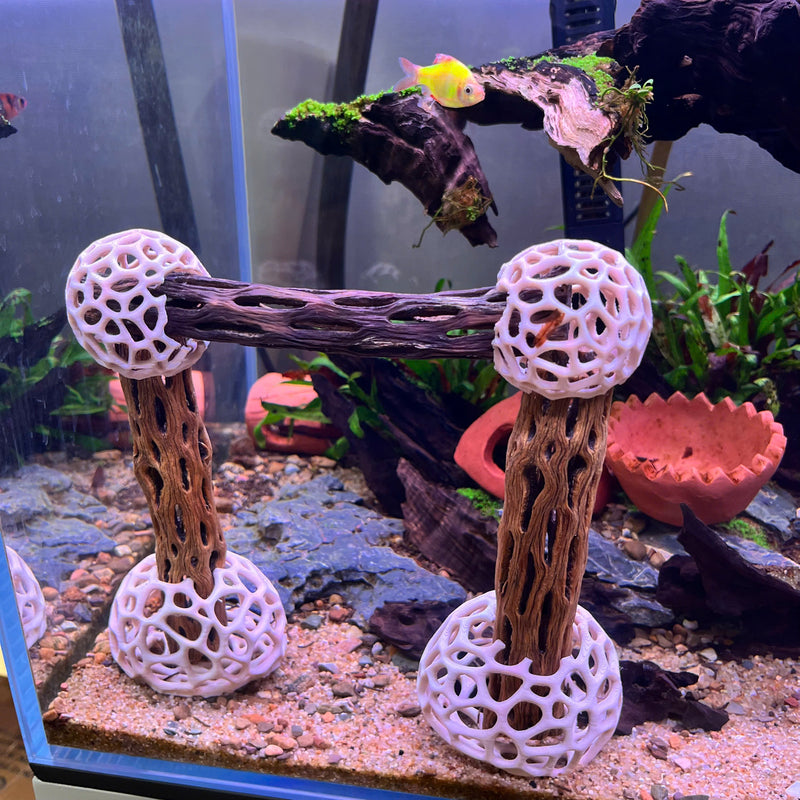Shrimp Dome Decor Combo – Shrimp Hideout, Moss Holder, Aquarium Safe Plastic Shelter