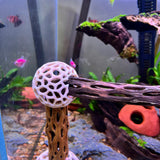 Shrimp Dome Decor Combo – Shrimp Hideout, Moss Holder, Aquarium Safe Plastic Shelter