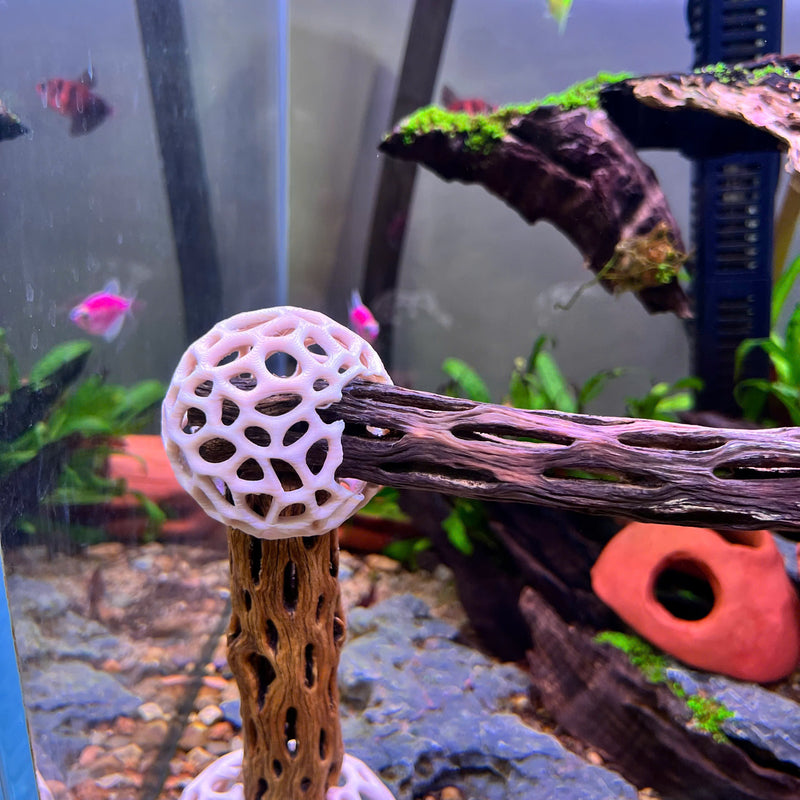 Shrimp Dome Decor Combo – Shrimp Hideout, Moss Holder, Aquarium Safe Plastic Shelter
