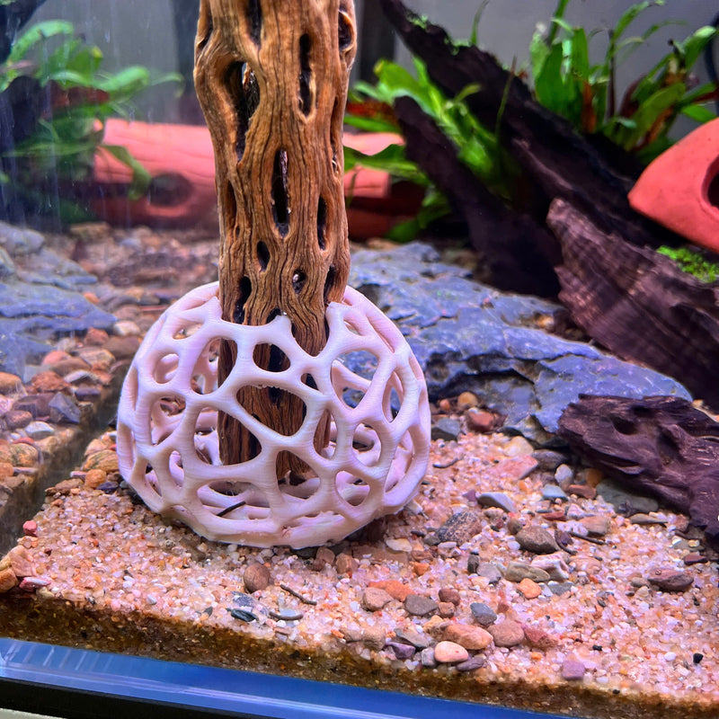 Shrimp Dome Decor Combo – Shrimp Hideout, Moss Holder, Aquarium Safe Plastic Shelter