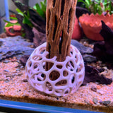 Shrimp Dome Decor Combo – Shrimp Hideout, Moss Holder, Aquarium Safe Plastic Shelter