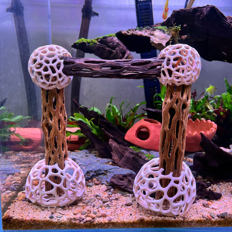 Shrimp Dome Decor Combo – Shrimp Hideout, Moss Holder, Aquarium Safe Plastic Shelter