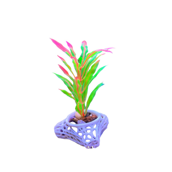 Plant Holder For Aquatic Plants, Plant Holder For Aquatic Plants, Aquarium Safe Plastic