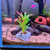 Plant Holder For Aquatic Plants, Plant Holder For Aquatic Plants, Aquarium Safe Plastic