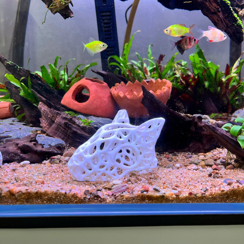 3D Printed Skullcap – Aquarium Safe Decor, Shrimp Home Hideout