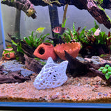 3D Printed Skullcap – Aquarium Safe Decor, Shrimp Home Hideout