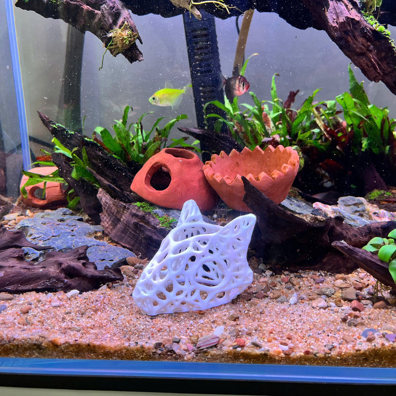 3D Printed Skullcap – Aquarium Safe Decor, Shrimp Home Hideout