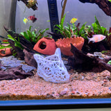 3D Printed Skullcap – Aquarium Safe Decor, Shrimp Home Hideout