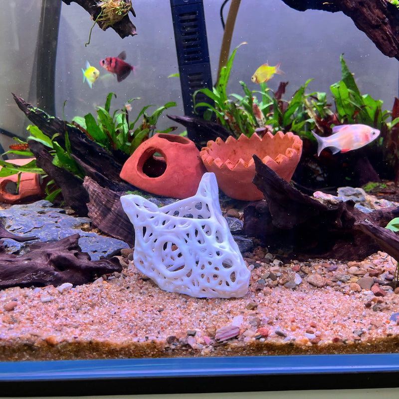 3D Printed Skullcap – Aquarium Safe Decor, Shrimp Home Hideout