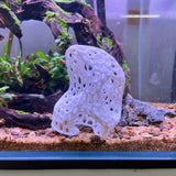 Abstract stone arch aquarium decoration, Safe Plastic for Aquariums