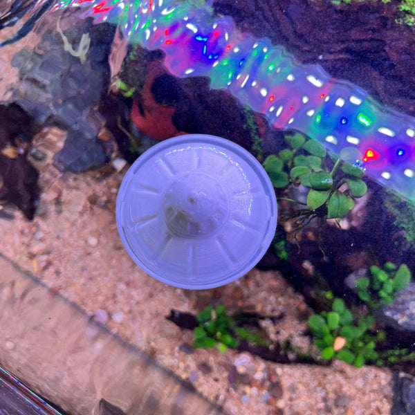 Feed your fish the fun way – with the UFO, Safe Plastic for Aquariums