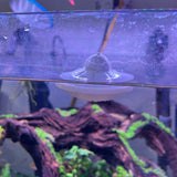 Feed your fish the fun way – with the UFO, Safe Plastic for Aquariums