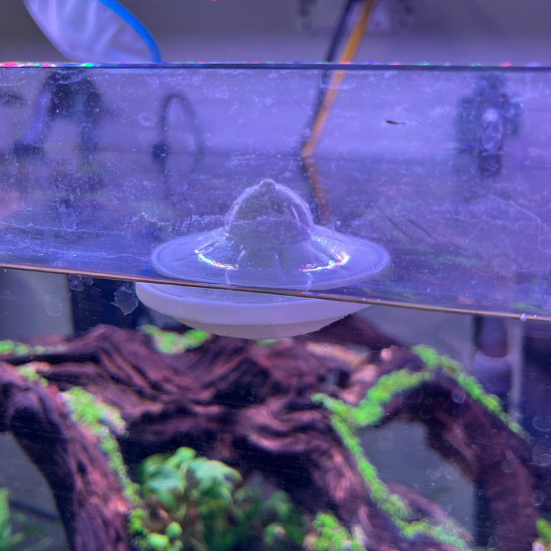 Feed your fish the fun way – with the UFO, Safe Plastic for Aquariums