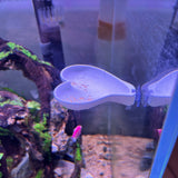 3D Printed Aquarium Feeding Dish - Fish & Shrimp Feeding Tray for Clean and Organized Feeding