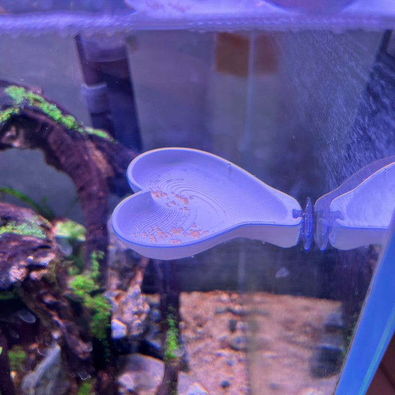 3D Printed Aquarium Feeding Dish - Fish & Shrimp Feeding Tray for Clean and Organized Feeding