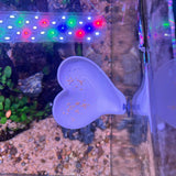 3D Printed Aquarium Feeding Dish - Fish & Shrimp Feeding Tray for Clean and Organized Feeding
