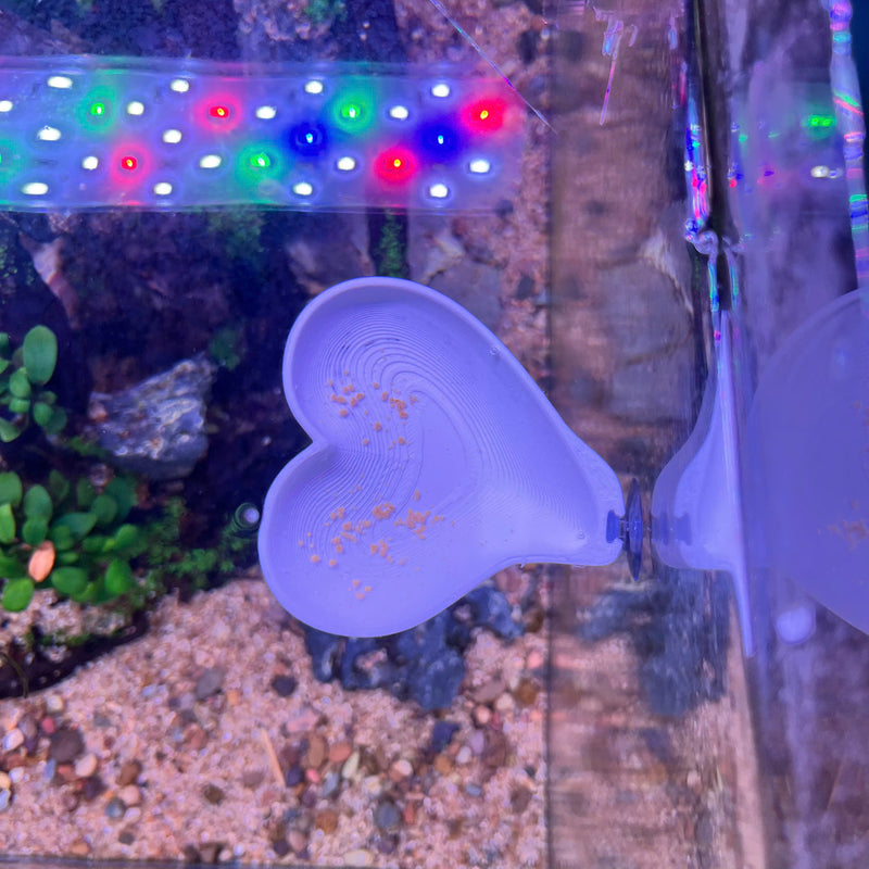 3D Printed Aquarium Feeding Dish - Fish & Shrimp Feeding Tray for Clean and Organized Feeding