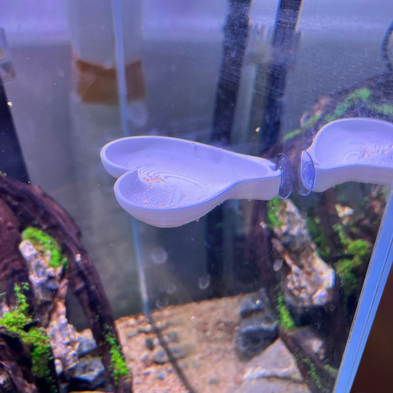 3D Printed Aquarium Feeding Dish - Fish & Shrimp Feeding Tray for Clean and Organized Feeding