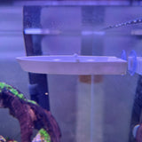 3D Printed Aquarium Feeding Dish - Fish & Shrimp Feeding Tray for Clean and Organized Feeding